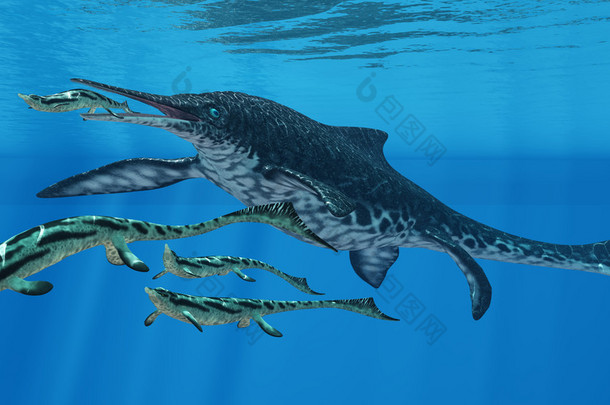 Shonisaurus 海洋爬行动物