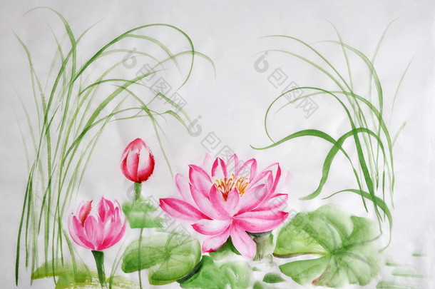 <strong>莲花</strong>花<strong>水</strong>彩画