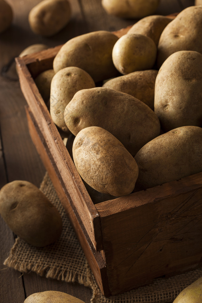 有机原料棕色的土豆