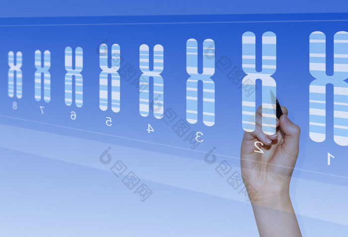 生物医学分析的遗传异常的染色体研究