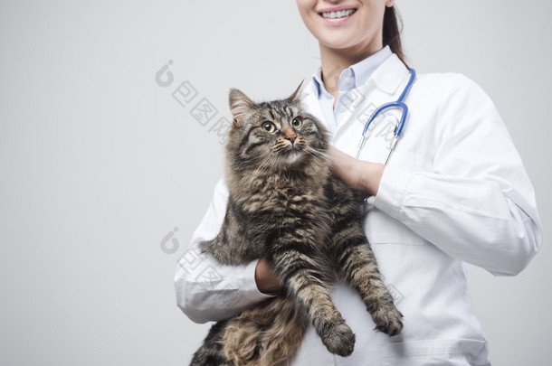 女兽医抱着一只漂亮的猫