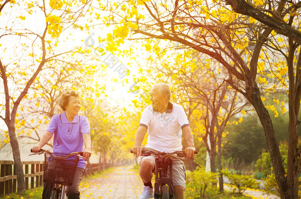 高级对幸福<strong>的</strong>夫妇骑着自行车在<strong>公园</strong>。