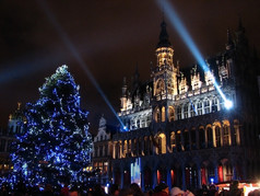 圣诞树和灯表明在布鲁塞尔大广场
