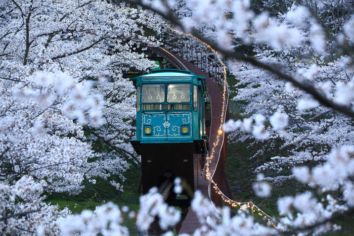 铁路到天堂，船冈公园，大阪，日本