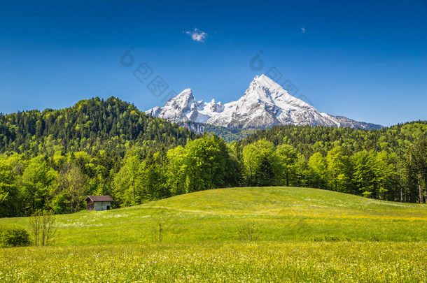 在巴伐利亚的阿尔卑斯山，贝，德国<strong>田园风景</strong>