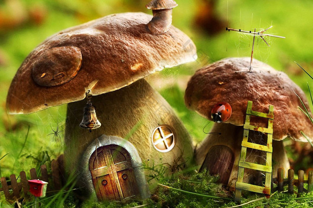 幻想蘑菇房子