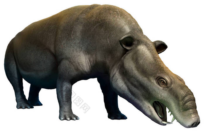 Moeritherium 3D illustration