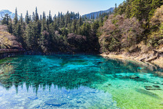 Beautiful pond in Jiuzhaigou national park