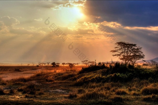 绚丽的晚霞，在非洲大草原上的阳光