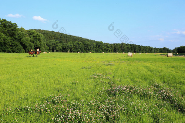 美丽的风景，从夏山舒马瓦山波希米亚南部，捷克<strong>共和国</strong>