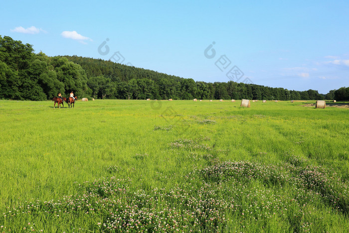 美丽的风景，从夏山舒马瓦山波希米亚南部，捷克共和国