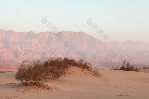 在日落时沙漠中的绿洲