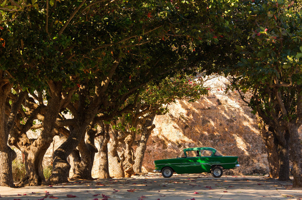 古巴在树下的经典老车