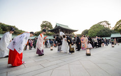 东京，日本-2013 年 11 月 23 日： 日本婚礼仪式于明治神宫