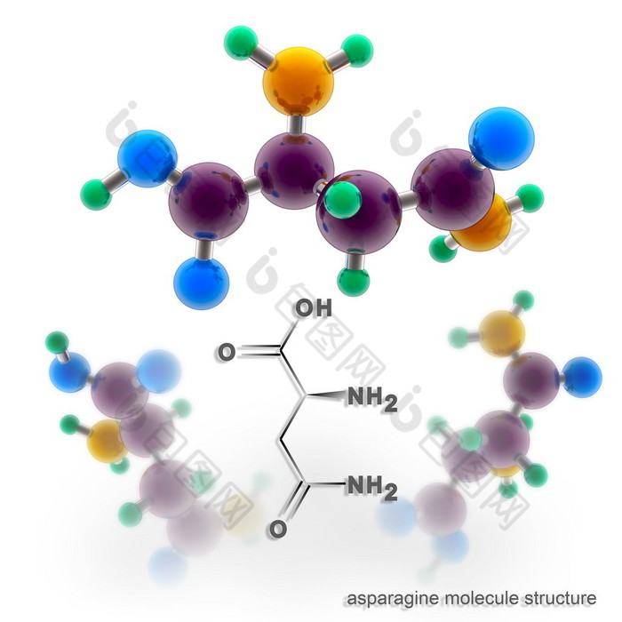 天冬酰胺分子结构