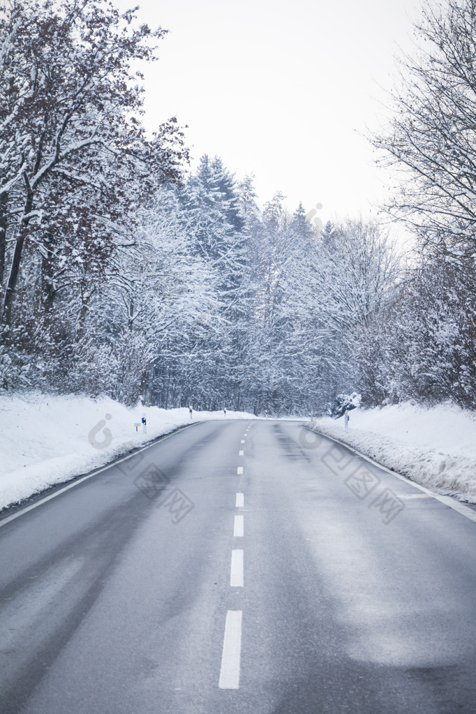 寒冷的冬天路与妙白色雪覆盖森林树木 冬天温泉