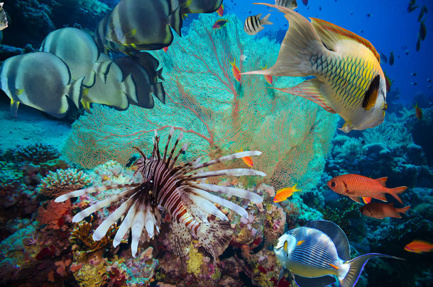 多彩的水下炸礁与