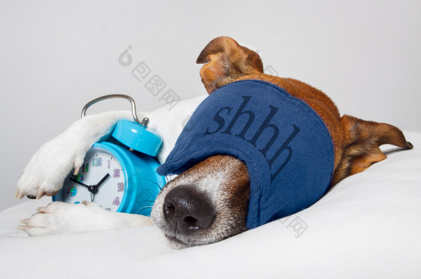 狗与闹钟睡眠和睡眠面膜