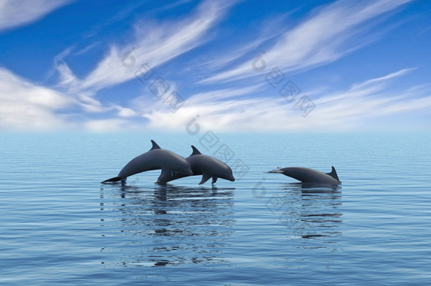 漂浮在海洋的三个海豚.