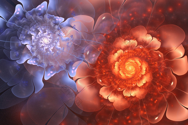 多彩的分形的花朵，为平面创意设计数码艺术作品