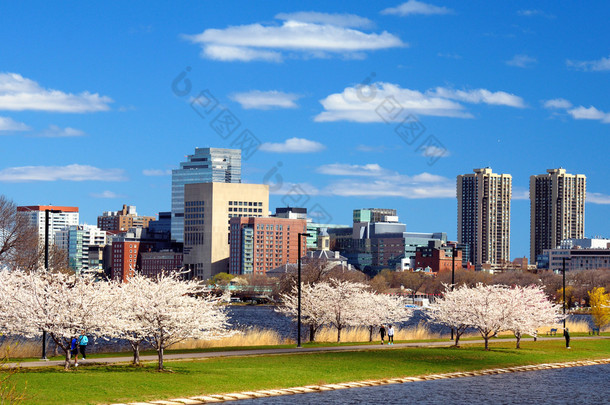 波士顿天际线的<strong>春天</strong>