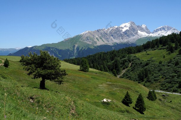 雄伟壮观的高山景观