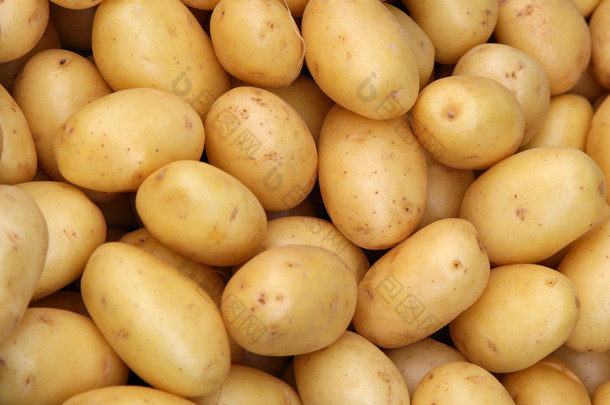 年轻的土豆