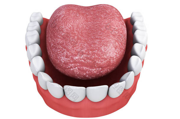 用牙齿和舌头上一个<strong>白色</strong>背景的 3d <strong>渲染</strong>的下巴