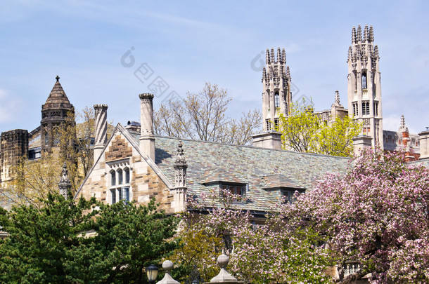 耶鲁大学斯特林法治建设