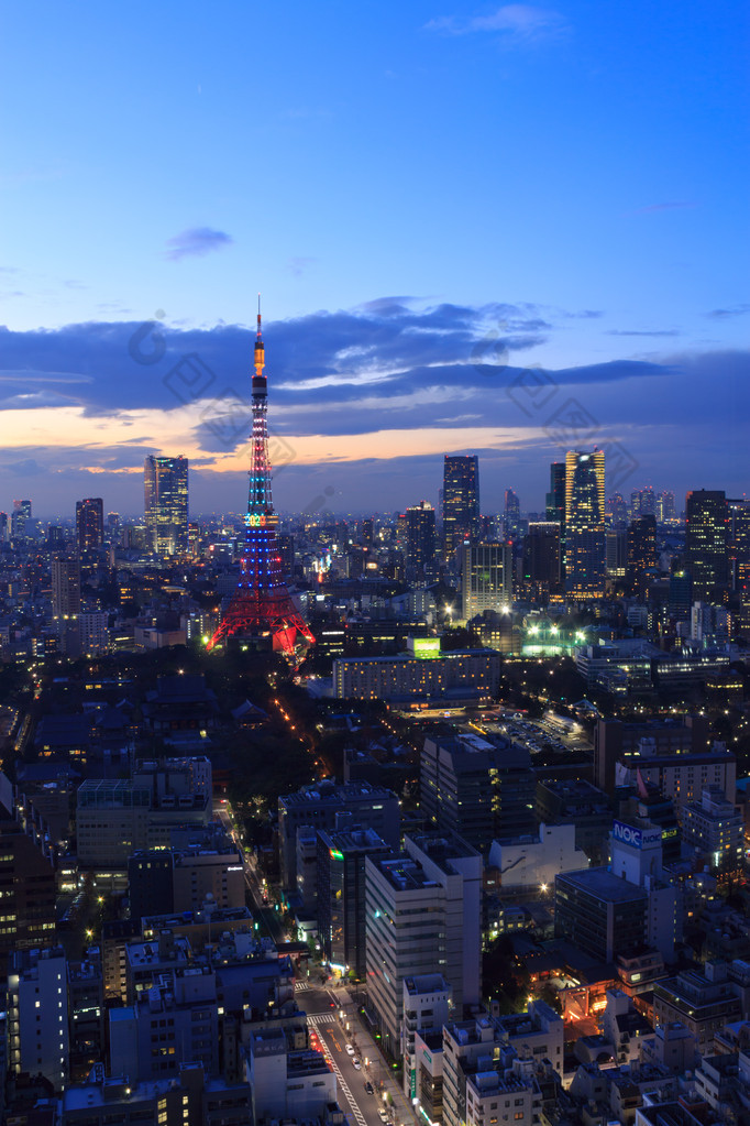 东京市和东京塔奥运照明