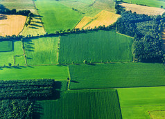 绿色的田野和斜坡的鸟瞰图