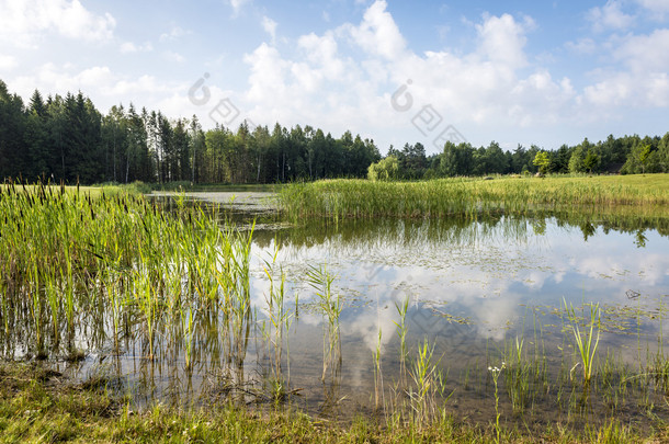 夏天波兰风景