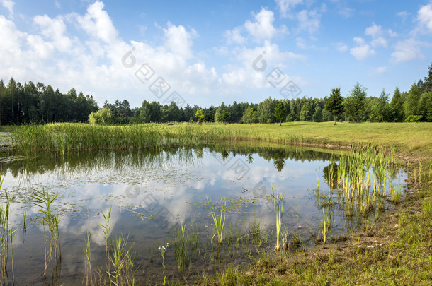 夏天波兰景观与湖