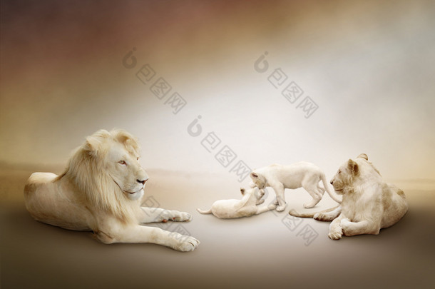 白狮子家族