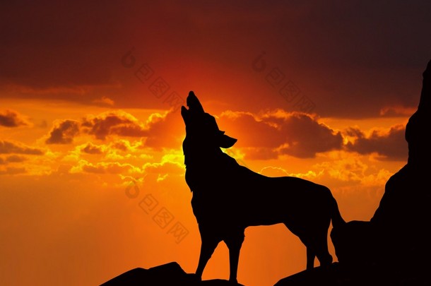 狼嚎在日落时