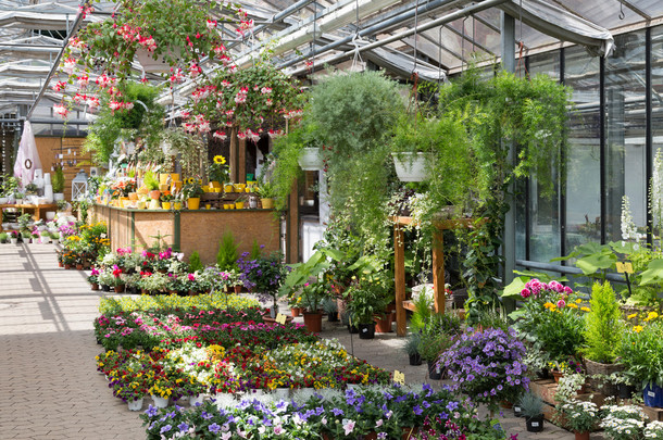 出售温室里的植物的花园中心