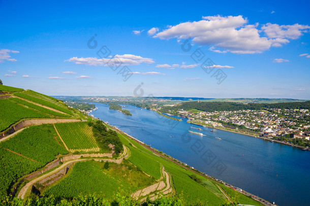 Vineyards and ruins near Rhine river, Bingen am Rhein, Rheinland