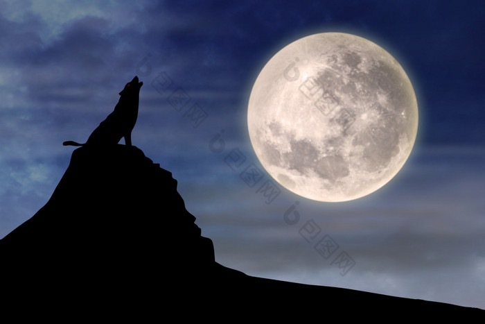 狼嚎在满月高清图片下载