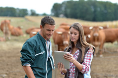 农夫和牛场使用平板电脑的女人