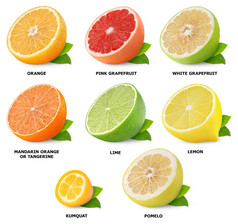 柑橘类水果集合