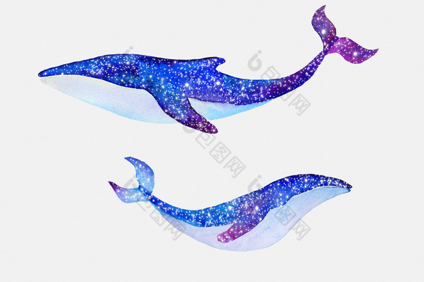 与星空水彩鲸鱼