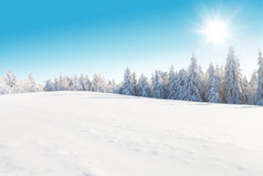 白雪皑皑的冬天风景