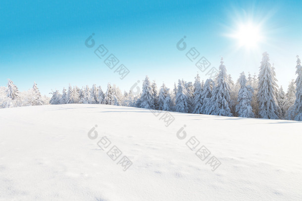 白雪皑皑的冬天风景