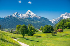 在阿尔卑斯山长满鲜花和草甸田园春景