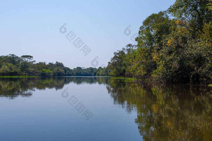 潘塔纳尔湿地，巴西湿地区域从全景.