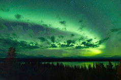 柳湖北部灯北极光阿拉斯加夜空