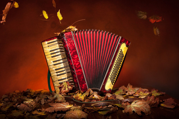 秋天的树叶老式手风琴