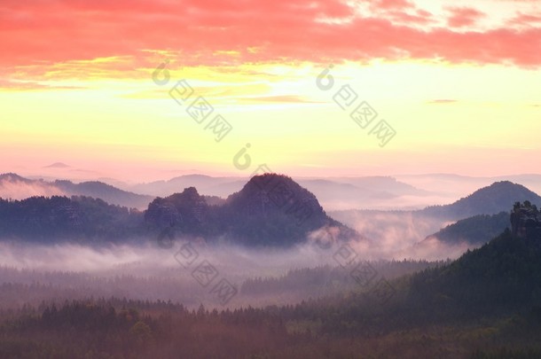 在山的红雾景观全景。梦幻般的梦幻日出洛矶山脉。有雾迷雾笼罩的山谷下面