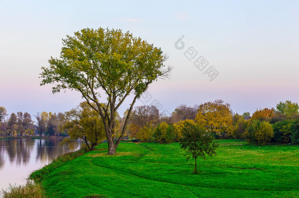 秋季<strong>景观</strong>树木与河在日落时城市公园