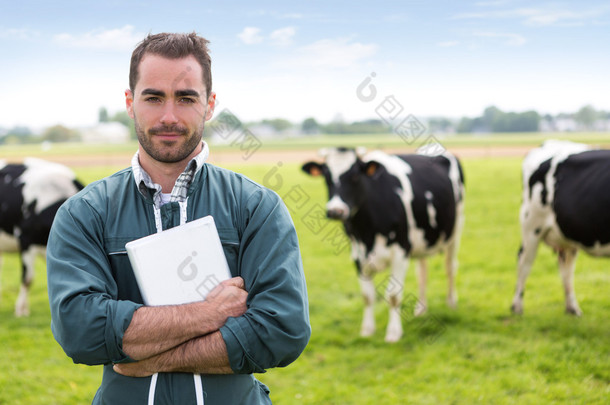一个年轻的有吸引力农夫与牛的牧场里的视图